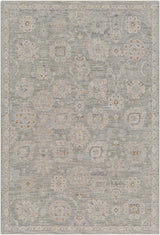 Surya Avant Garde AVT-2335 10' x 14' Rug