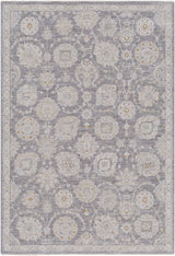 Surya Avant Garde AVT-2336 7'10" x 10'3" Rug