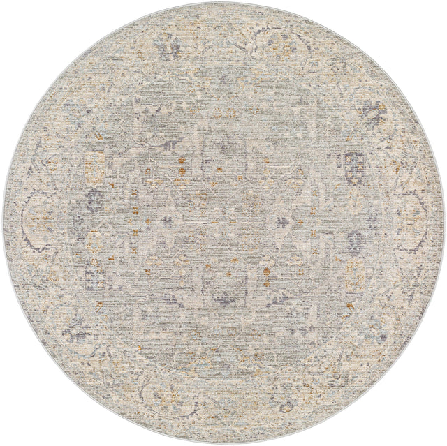 Surya Avant Garde AVT-2339 9' x 12'2" Rug