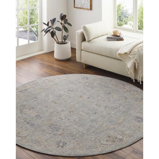 Surya Avant Garde AVT-2339 9' x 12'2" Rug