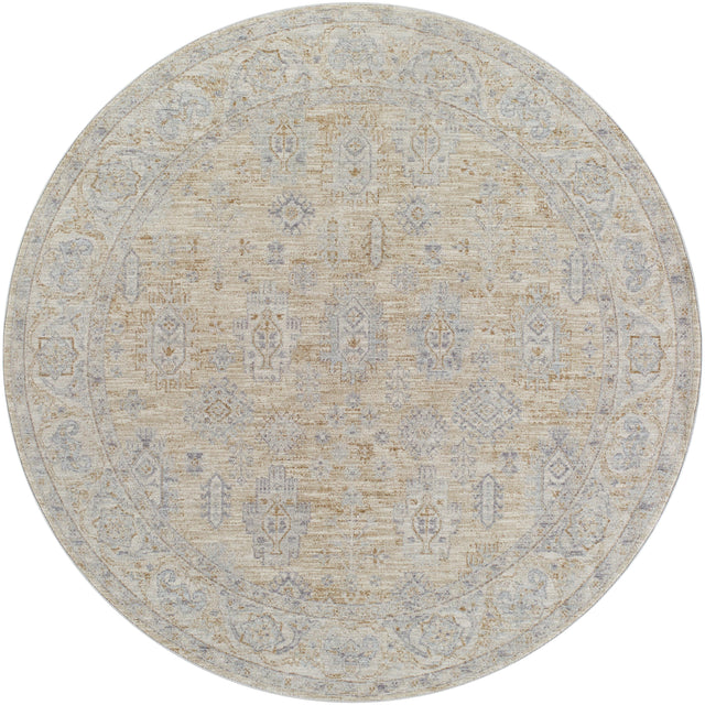 Surya Avant Garde AVT-2340 10' x 13'11" Rug