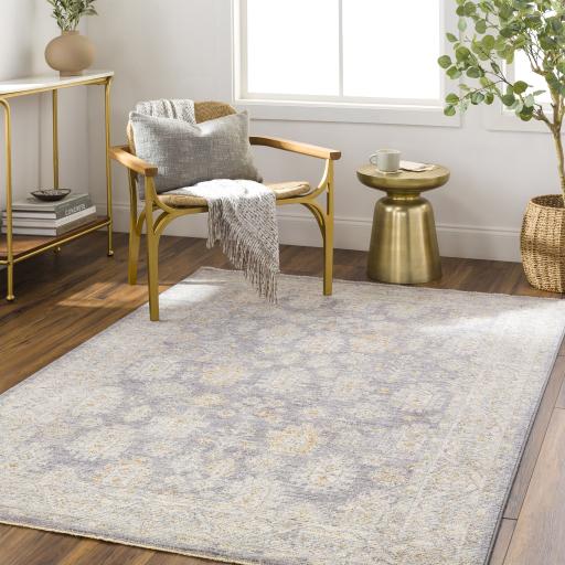 Surya Avant Garde AVT-2341 2'7" x 3'11" Rug