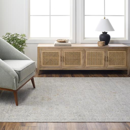 Surya Avant Garde AVT-2343 7'10" Round Rug