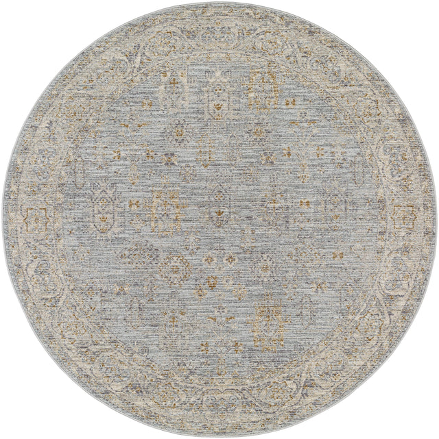 Surya Avant Garde AVT-2344 7'10" x 10'2" Rug