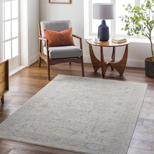 Surya Avant Garde AVT-2348 10' x 13'11" Rug