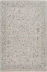 Surya Avant Garde AVT-2348 10' x 14' Rug