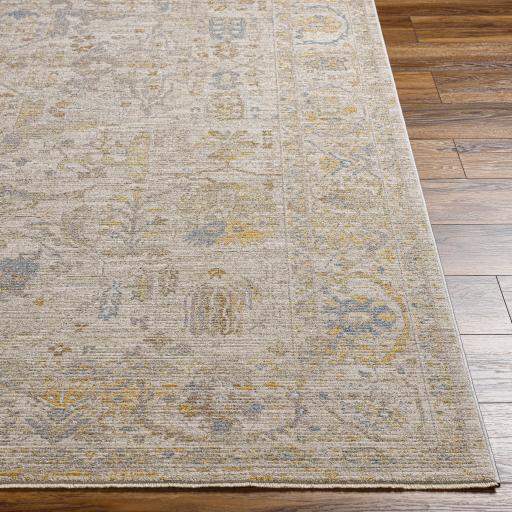 Surya Avant Garde AVT-2350 Charcoal Dark Brown 6'7" x 9'6" Rug