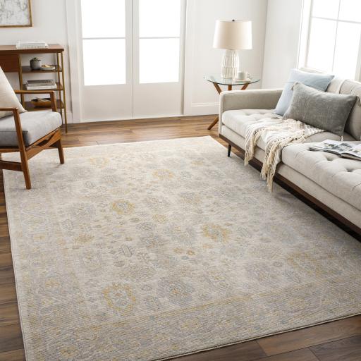 Surya Avant Garde AVT-2353 10' x 14' Rug