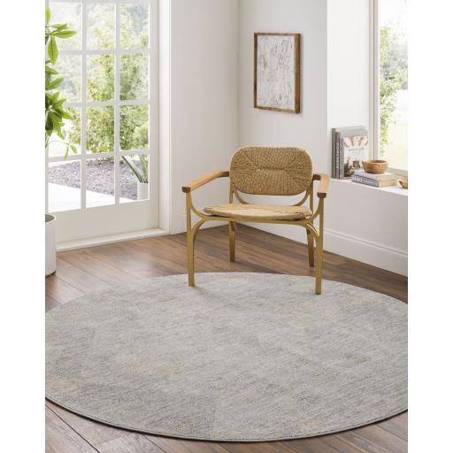 Surya Avant Garde AVT-2356 2'7" x 3'11" Rug