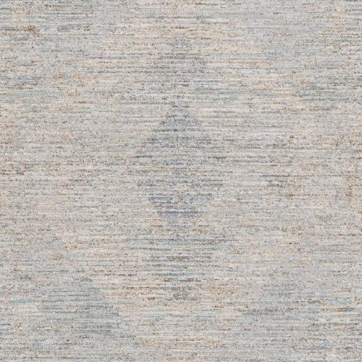 Surya Avant Garde AVT-2356 2'7" x 3'11" Rug