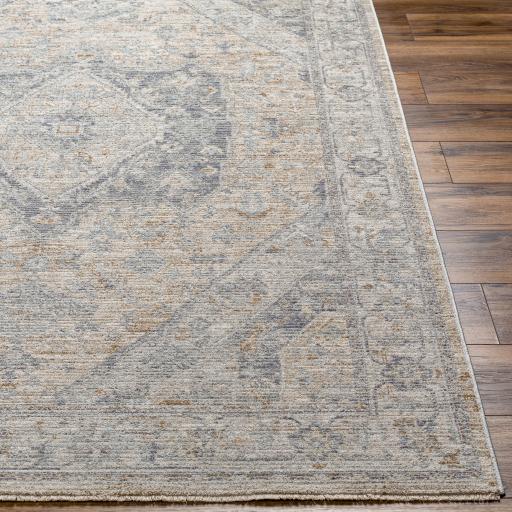 Surya Avant Garde AVT-2357 12' x 15' Rug