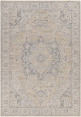 Surya Avant Garde AVT-2357 2' x 2'11" Rug