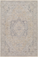 Surya Avant Garde AVT-2357 2' x 3' Rug
