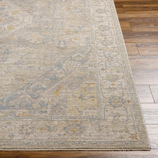 Surya Avant Garde AVT-2360 Charcoal Dark Brown 2' x 3' Rug