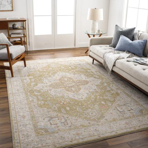 Surya Avant Garde AVT-2363 7'10" Round Rug