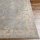 Surya Avant Garde AVT-2369 5'3" Round Rug