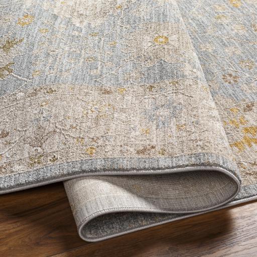 Surya Avant Garde AVT-2369 5'3" Round Rug
