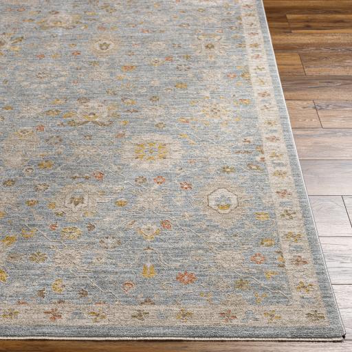 Surya Avant Garde AVT-2375 Amber Dark Brown 5'3" Round Rug