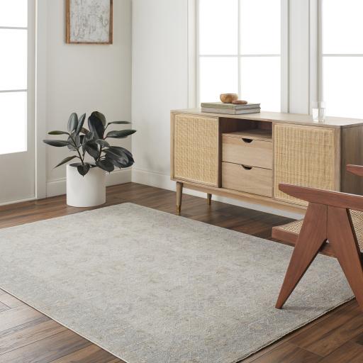 Surya Avant Garde AVT-2381 7'10" Round Rug