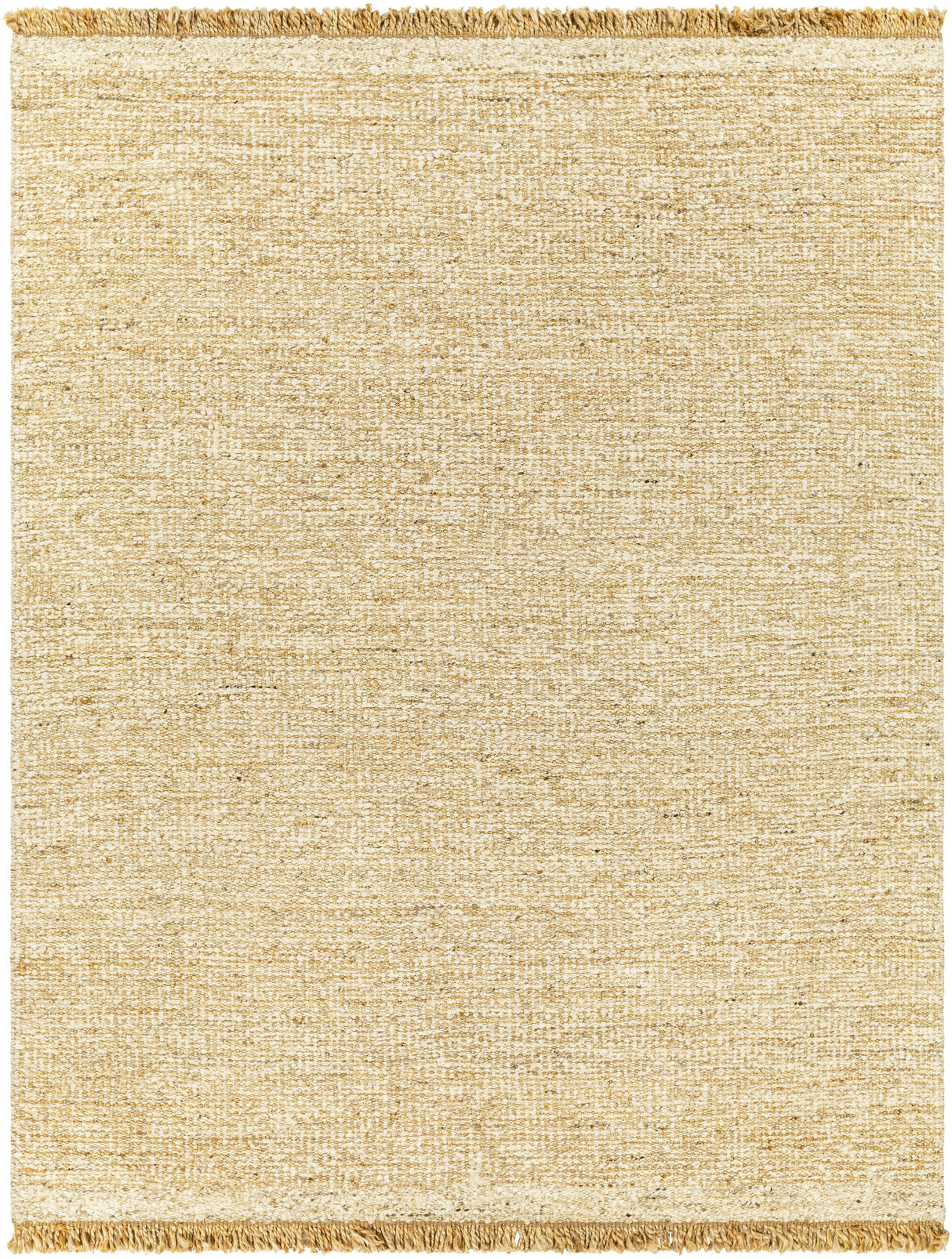 Surya Aylin AYI-2303 10' x 14' Rug