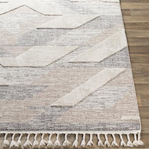 Surya Azilal AZI-2303 5'3" x 7'3" Rug