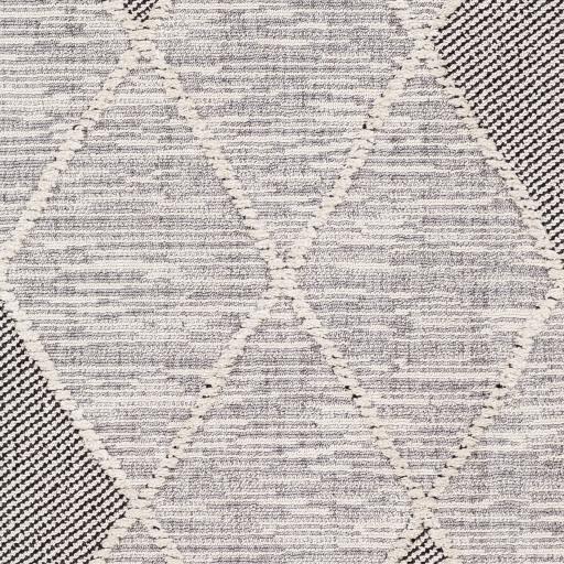 Surya Azilal AZI-2304 2'7" x 7'3" Rug