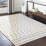 Surya Bahar BHR-2312 2' x 2'11" Rug
