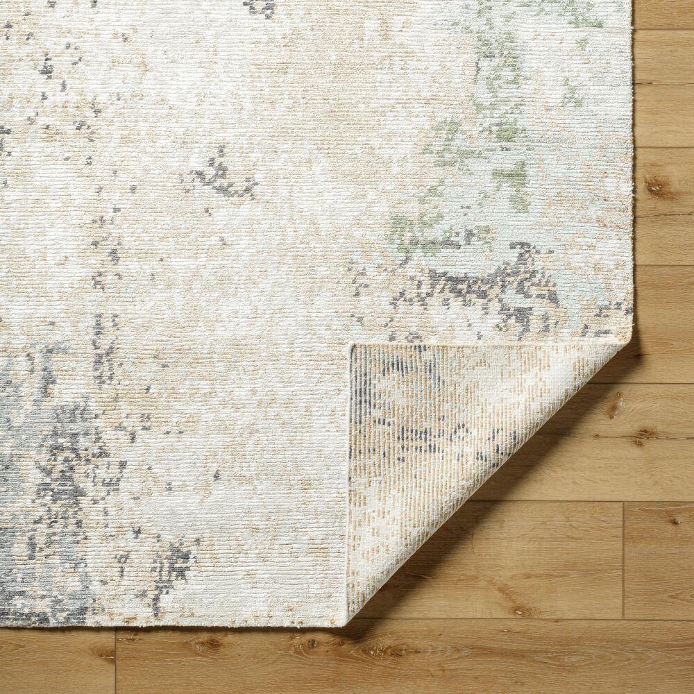 Surya Baranof BRF-1002 6' x 9' Handmade Rug