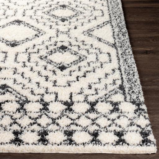 Surya Beni Shag BSH-2300 6'7" x 9' Rug