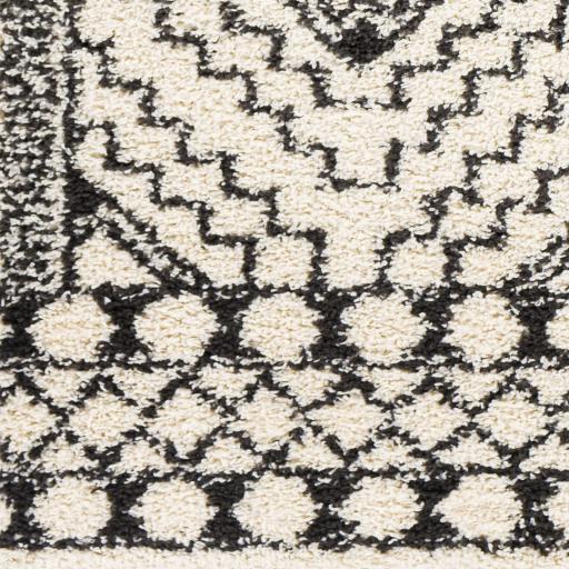 Surya Beni Shag BSH-2300 6'7" x 9' Rug