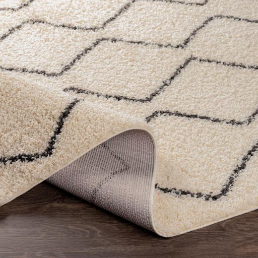 Surya Beni Shag BSH-2302 6'7" x 9' Rug
