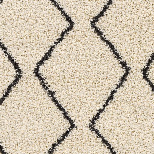 Surya Beni Shag BSH-2302 6'7" x 9' Rug
