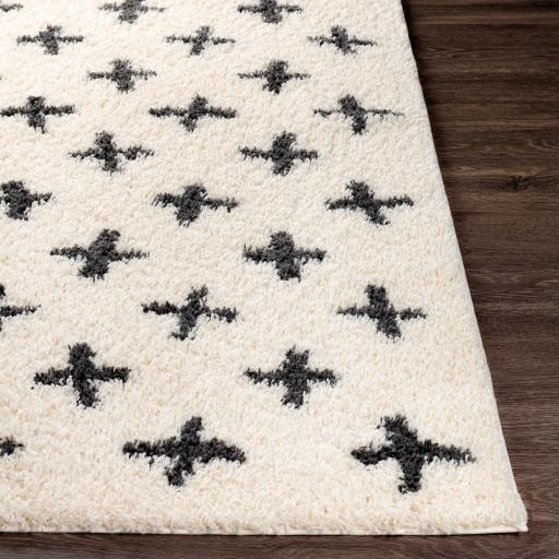 Surya Beni Shag BSH-2304 6'7" x 9' Rug
