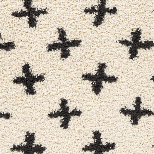 Surya Beni Shag BSH-2304 7'10" x 10' Rug