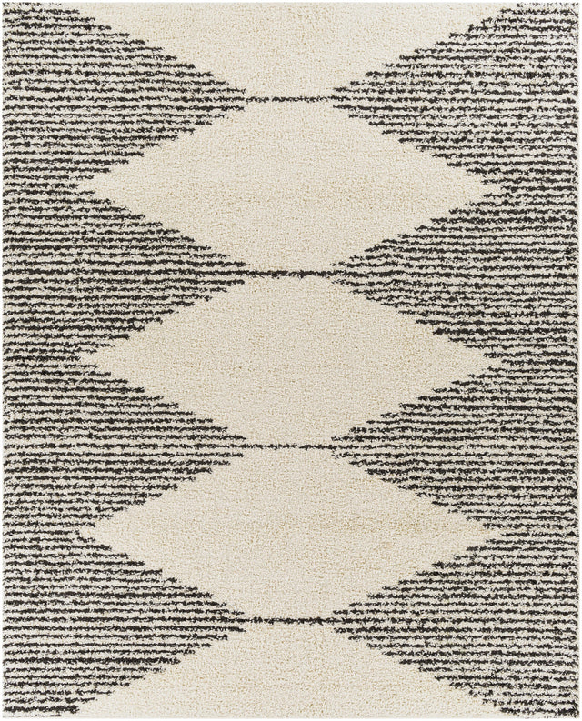 Surya Beni Shag BSH-2308 2'7" x 7'3" Rug