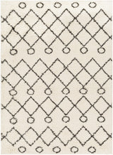 Surya Beni Shag BSH-2313 2'7" x 7'3" Rug