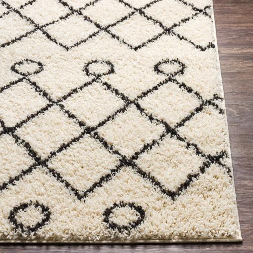 Surya Beni Shag BSH-2313 2'7" x 7'3" Rug