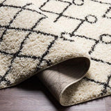 Surya Beni Shag BSH-2313 2'7" x 7'3" Rug