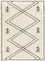 Surya Beni Shag BSH-2315 5'3" x 7' Rug
