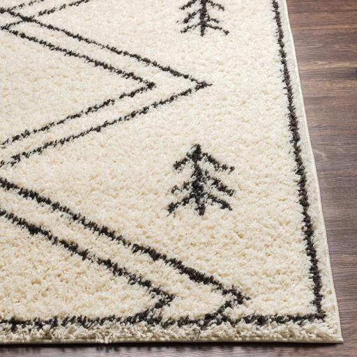 Surya Beni Shag BSH-2315 5'3" x 7' Rug