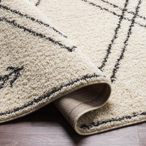 Surya Beni Shag BSH-2315 5'3" x 7' Rug