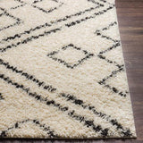 Surya Beni Shag BSH-2331 2'7" x 7'3" Rug