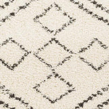 Surya Beni Shag BSH-2331 2'7" x 7'3" Rug