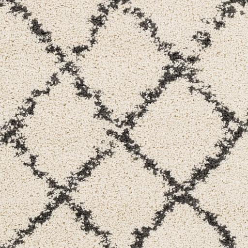 Surya Berber Shag BBE-2300 7'10" Square Rug
