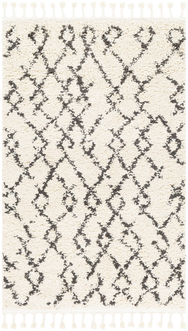Surya Berber Shag BBE-2301 5'3" x 7'3" Rug