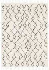 Surya Berber Shag BBE-2301 5'3" x 7'3" Rug