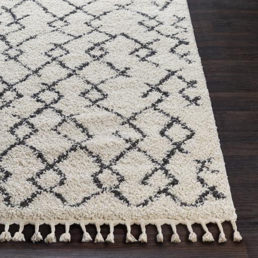 Surya Berber Shag BBE-2301 5'3" x 7'3" Rug
