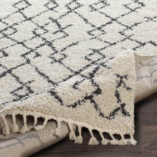 Surya Berber Shag BBE-2301 5'3" x 7'3" Rug