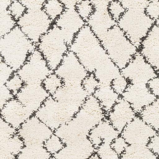 Surya Berber Shag BBE-2301 5'3" x 7'3" Rug