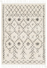Surya Berber Shag BBE-2302 2' x 2'11" Rug
